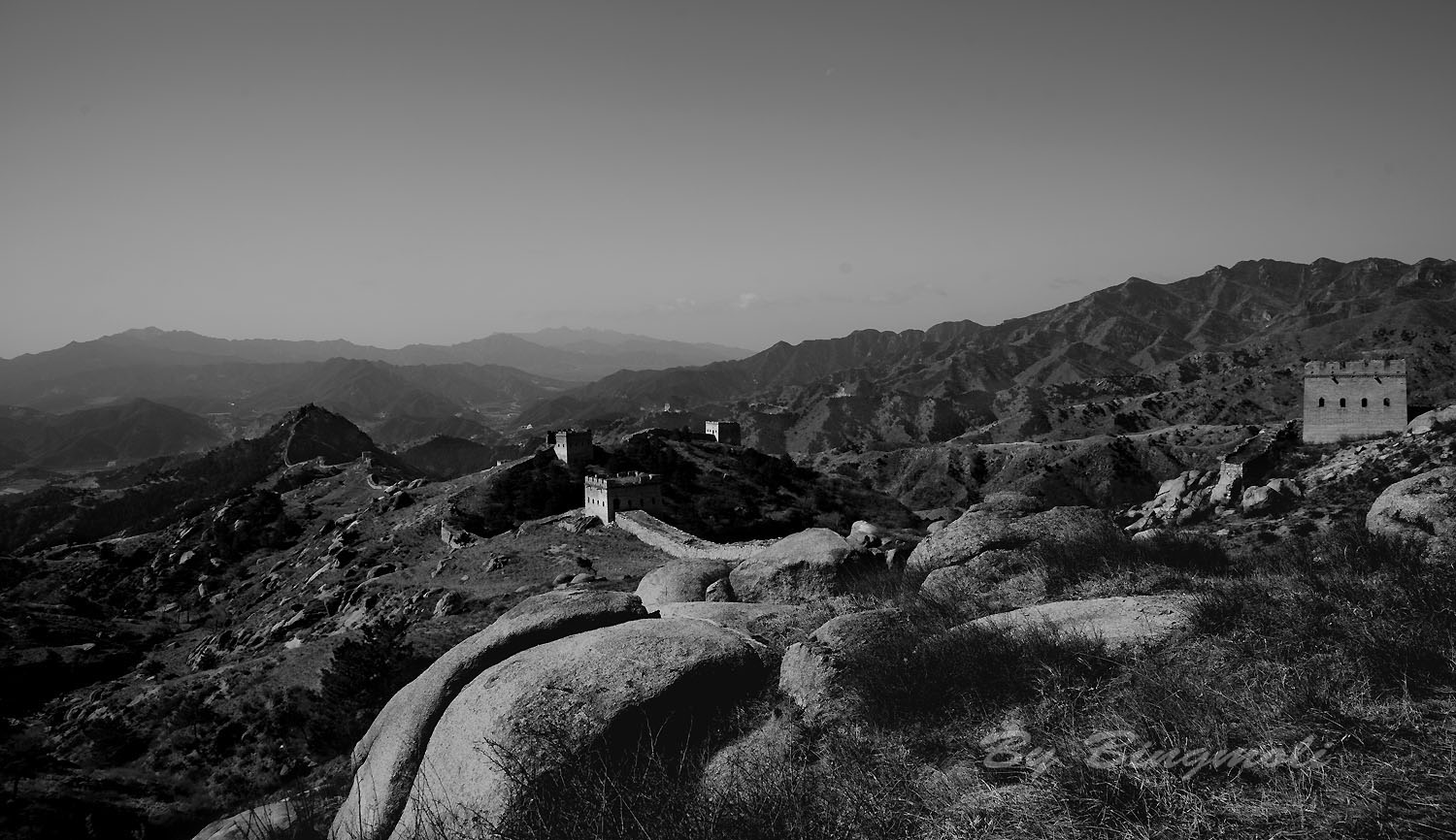 _MG_6009.jpg