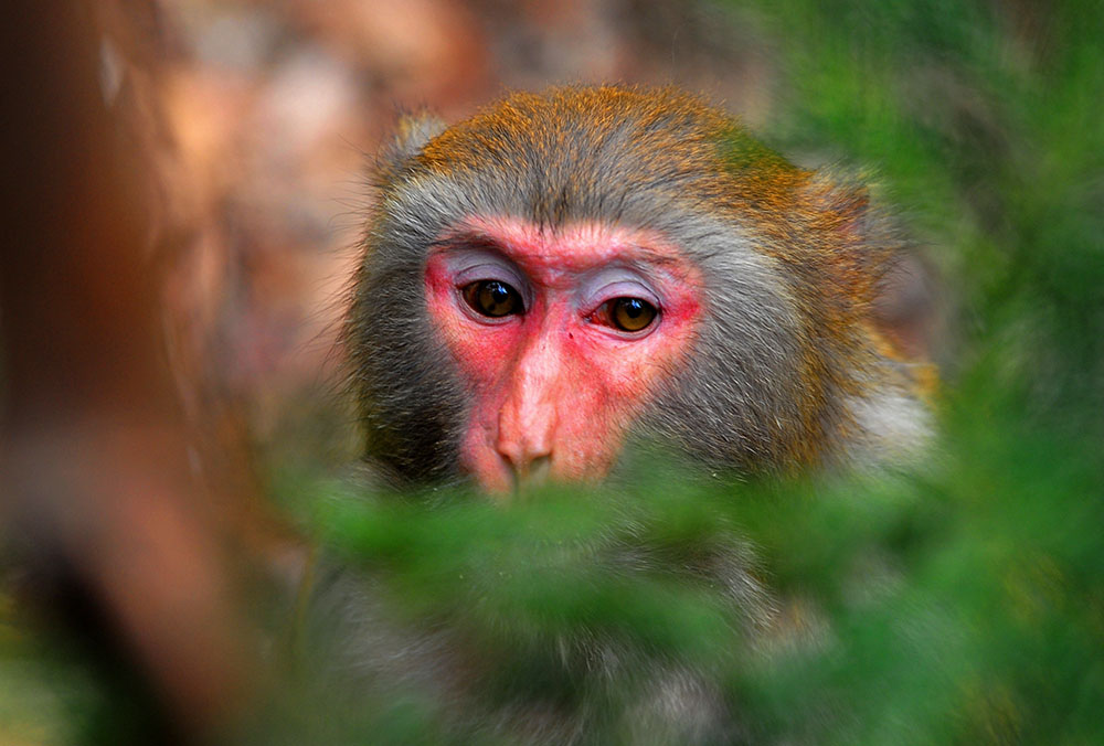 DSC_3789.JPG