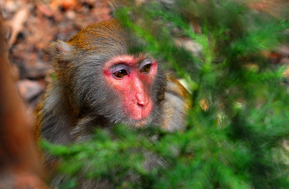 DSC_3793.JPG