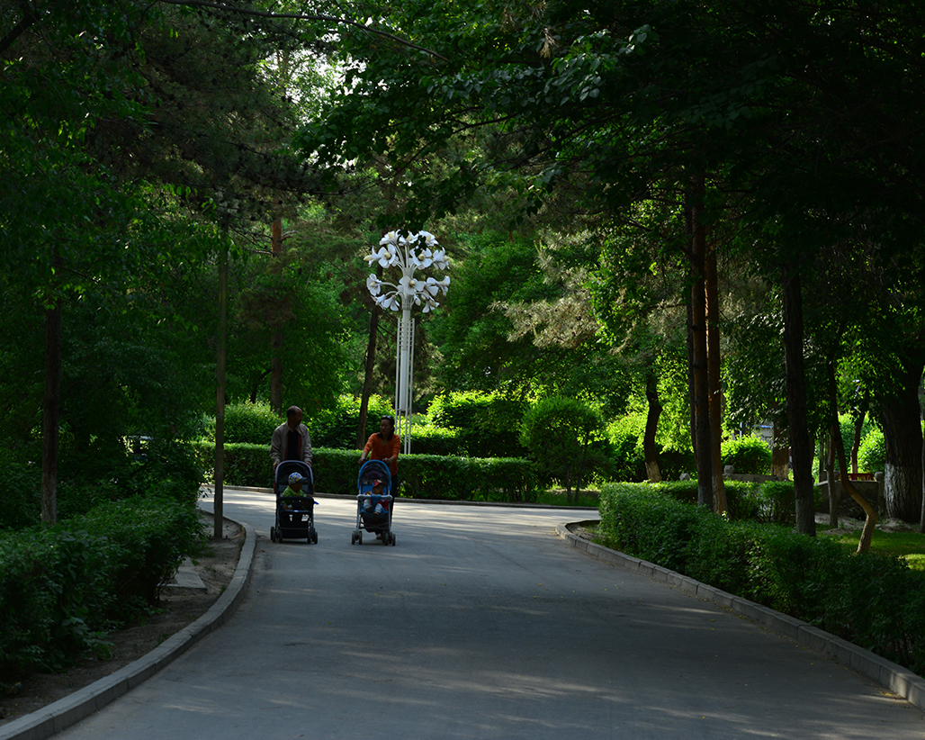 DSC_1503.JPG
