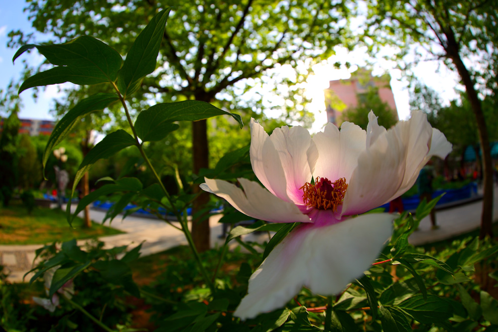 7U2A0309.JPG