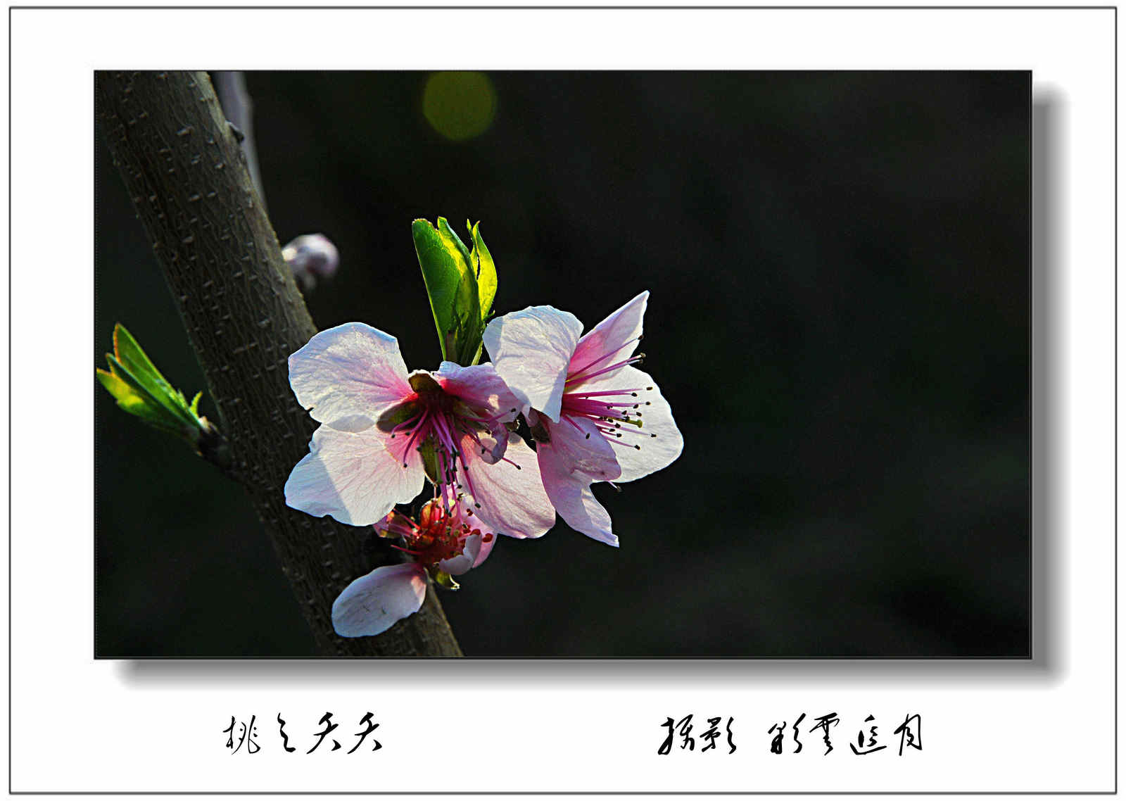 20150403 (156).jpg