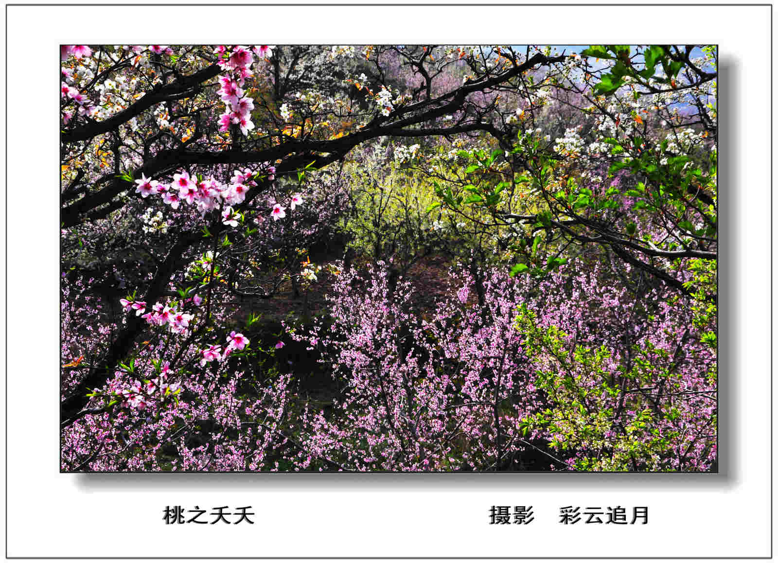 20150403 (29).jpg