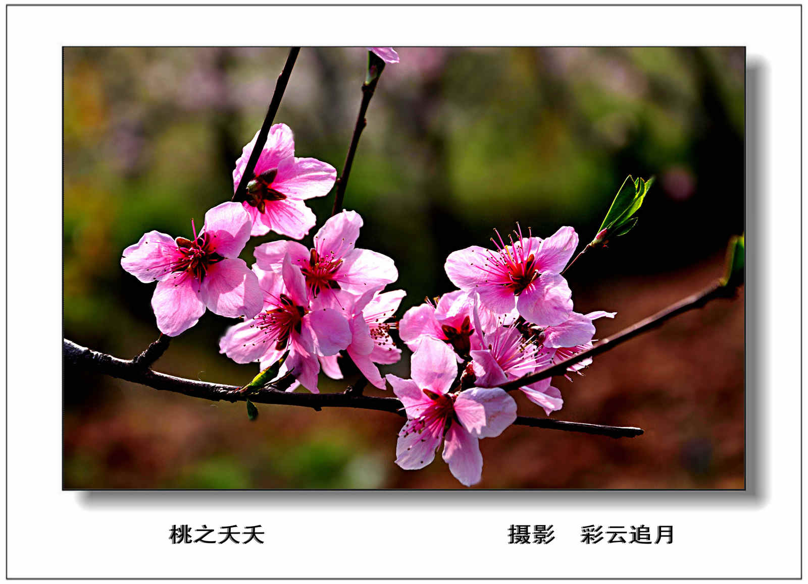 20150403 (1).jpg