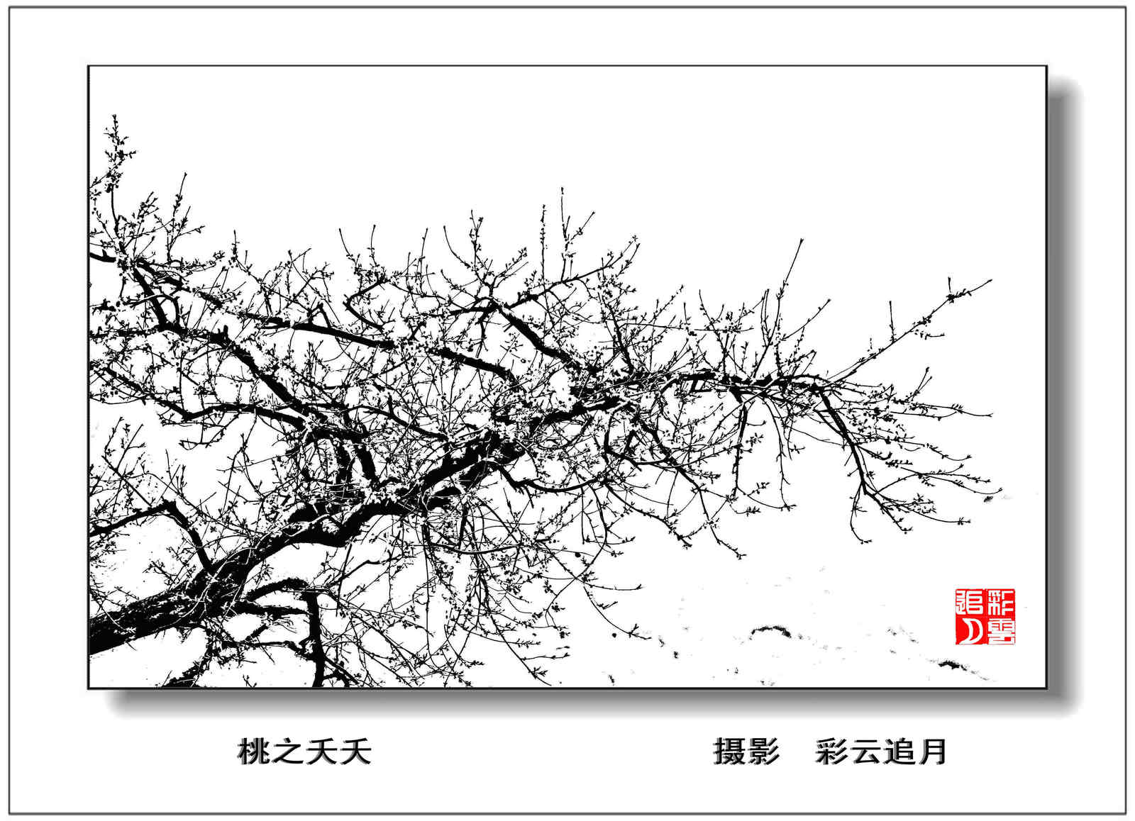 20150403 (67).jpg