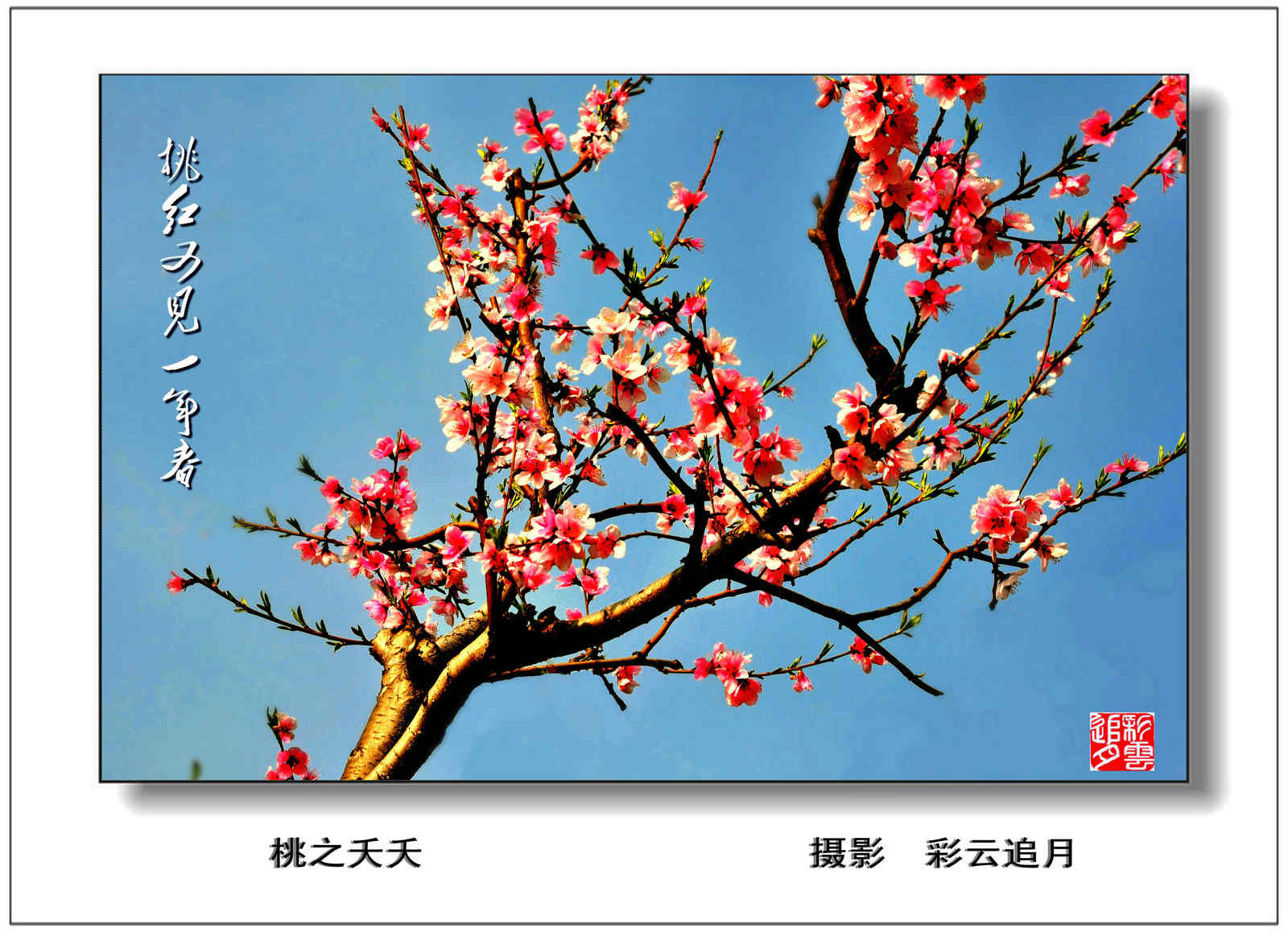 20150403 (58).jpg