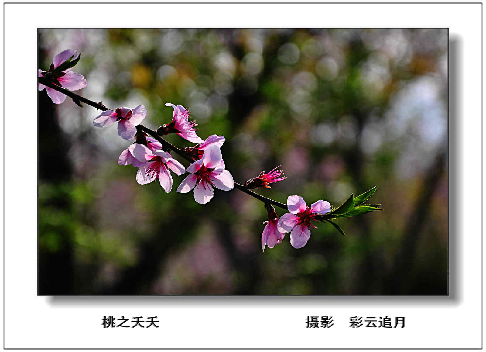 20150403 (70).jpg