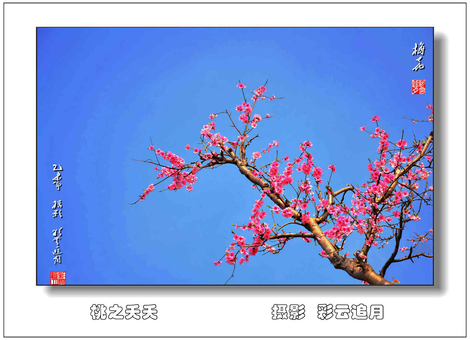 20150403 (76)һ3.jpg