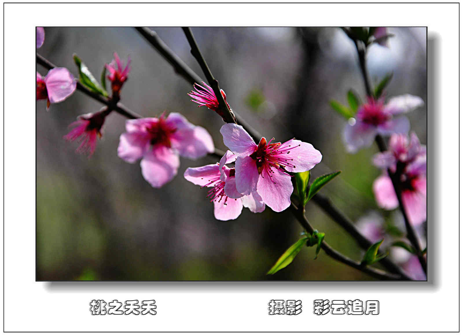 20150403 (71).jpg