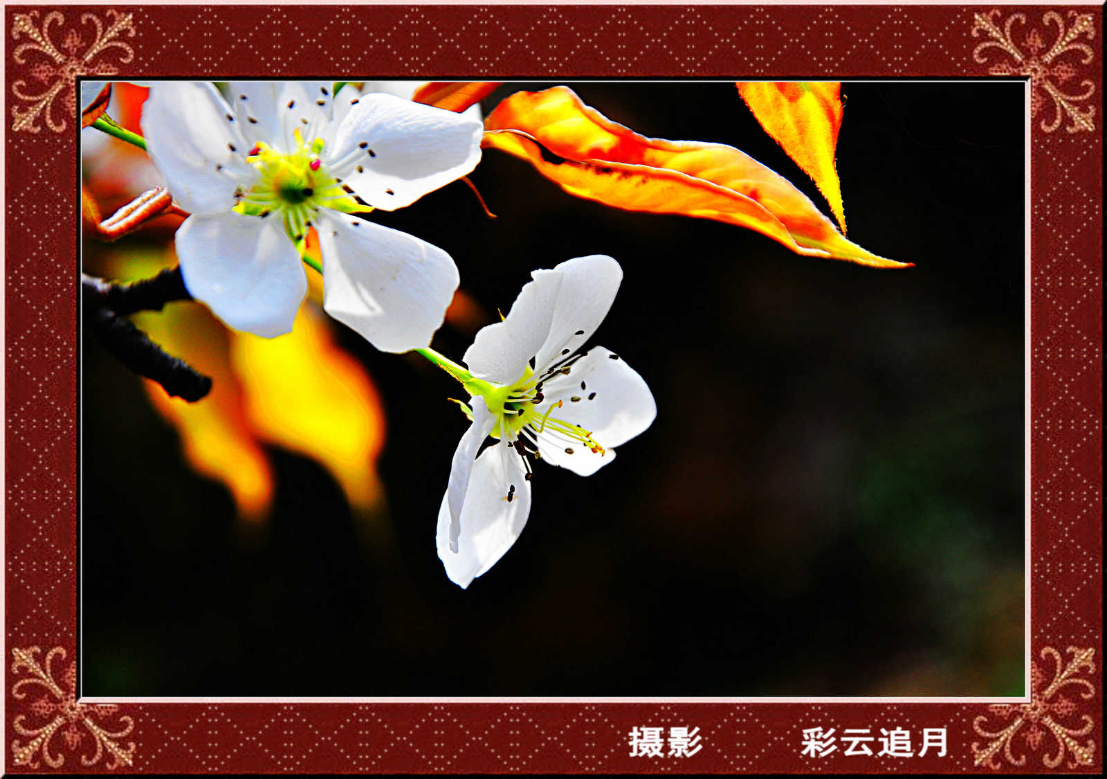 201504 (165).jpg