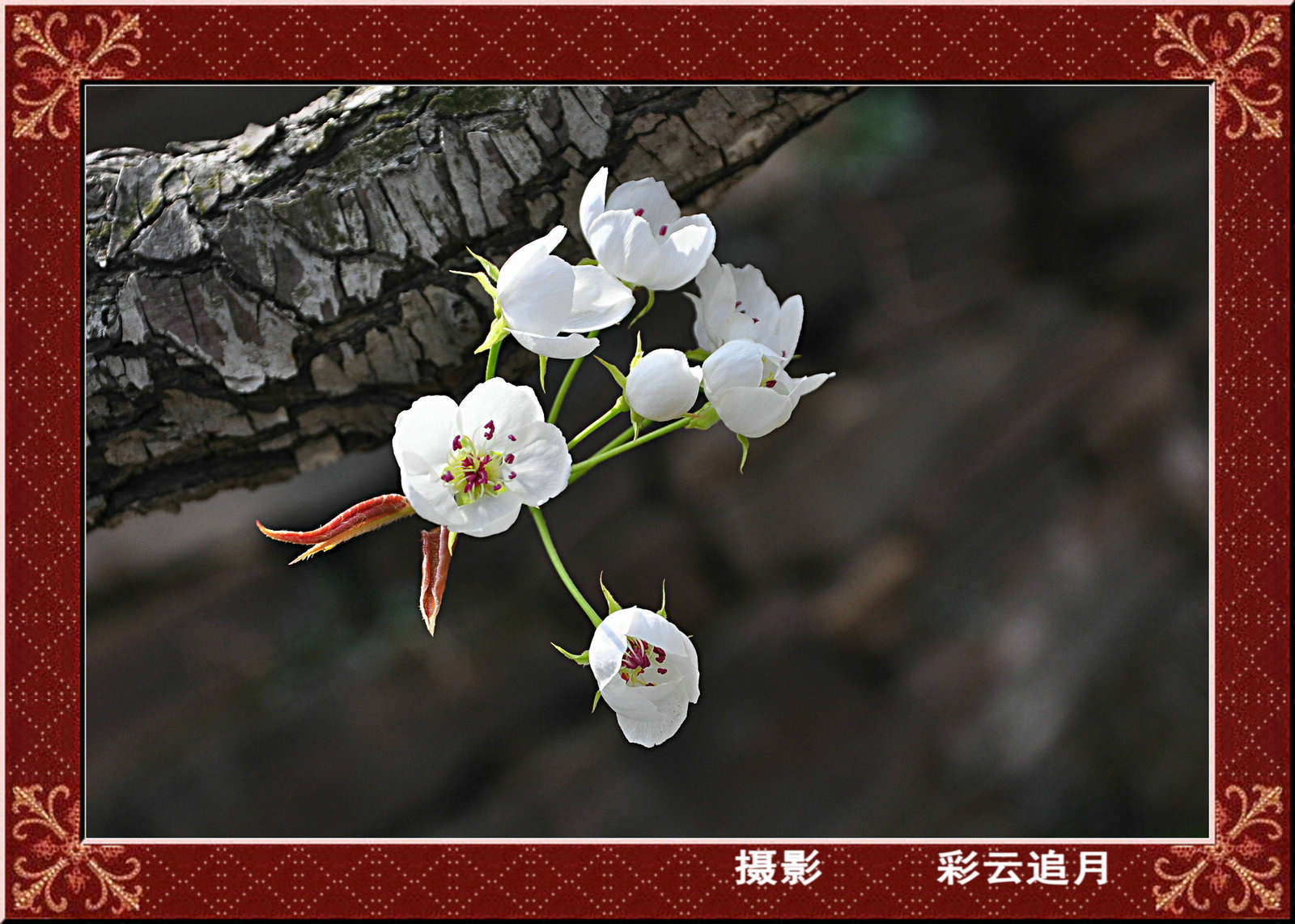 201504 (176).jpg