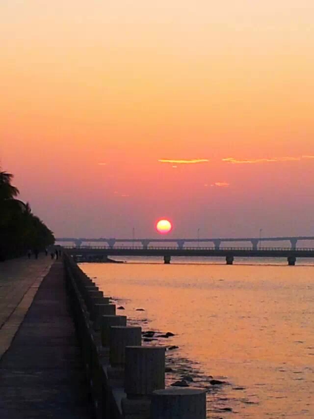 麣糿.jpg