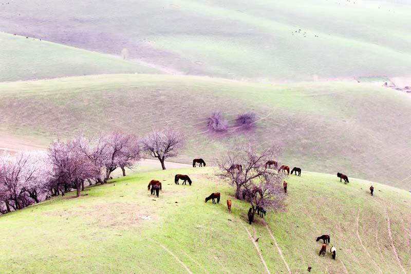_D7O0026.jpg