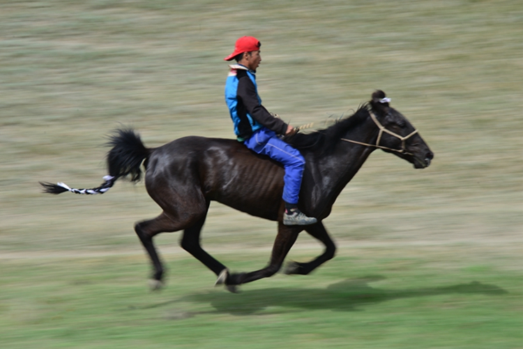 ޸ĳߴ15.jpg