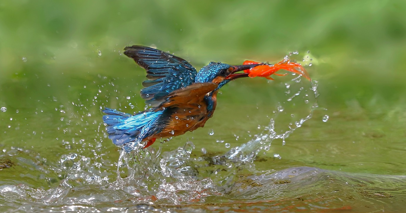 168A8767__.jpg