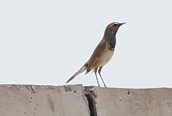 BL9K3180_.jpg