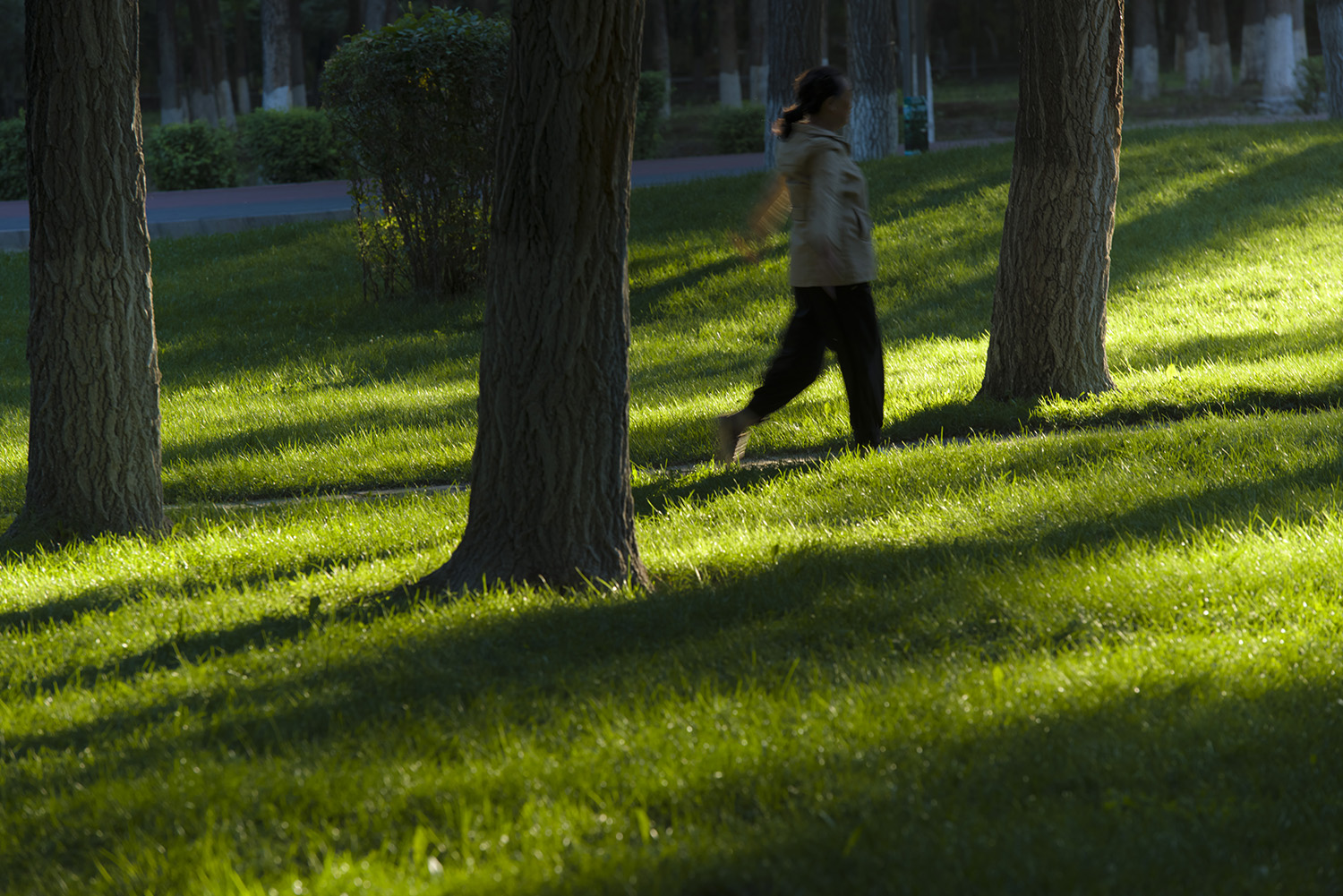 _DSC9090.JPG