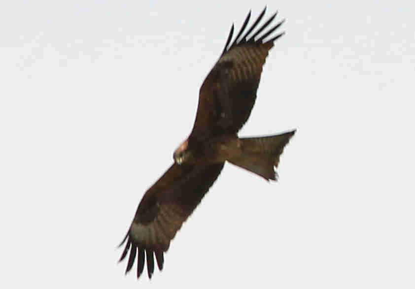 050C1202_.jpg