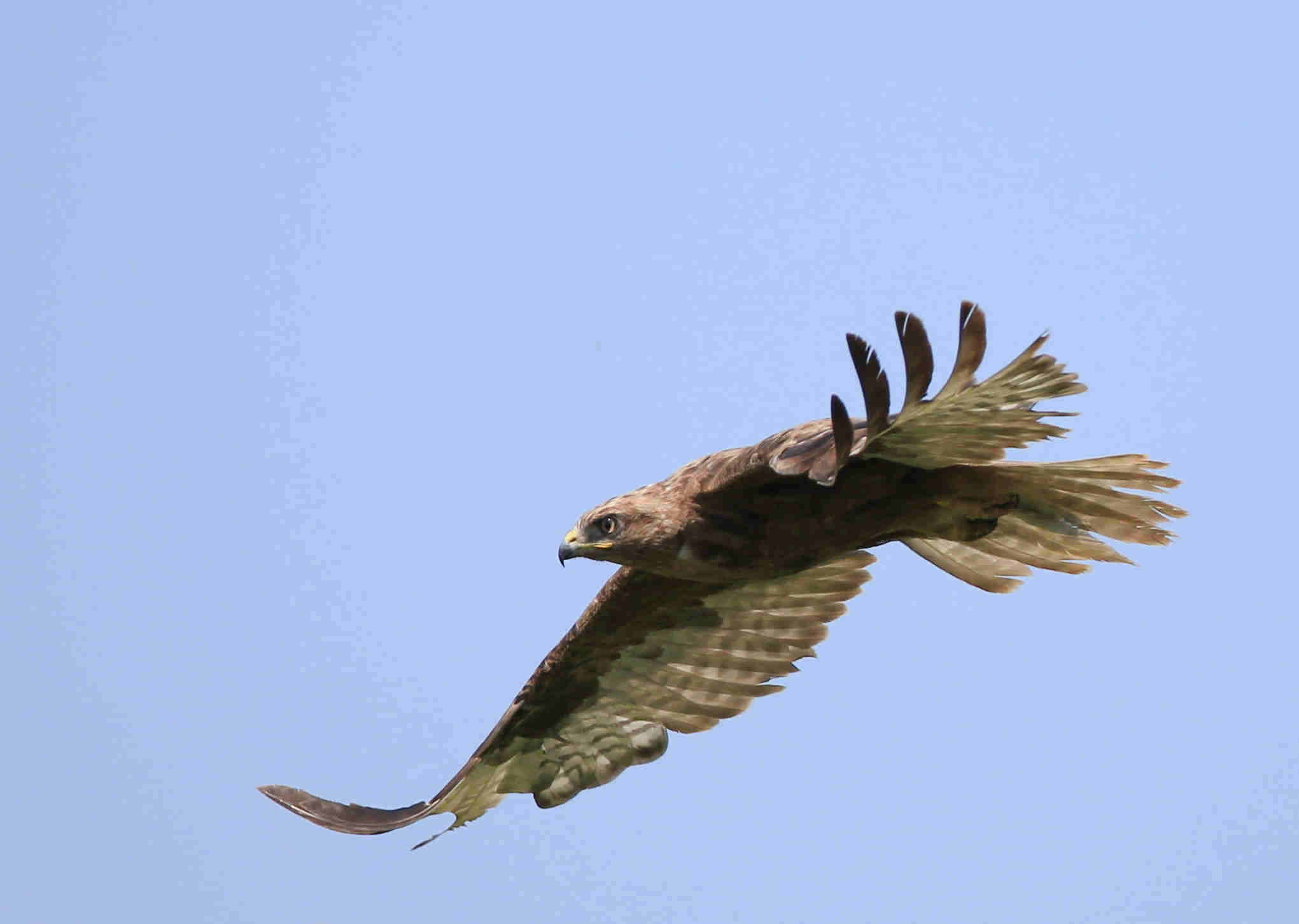 BL9K7425_.jpg