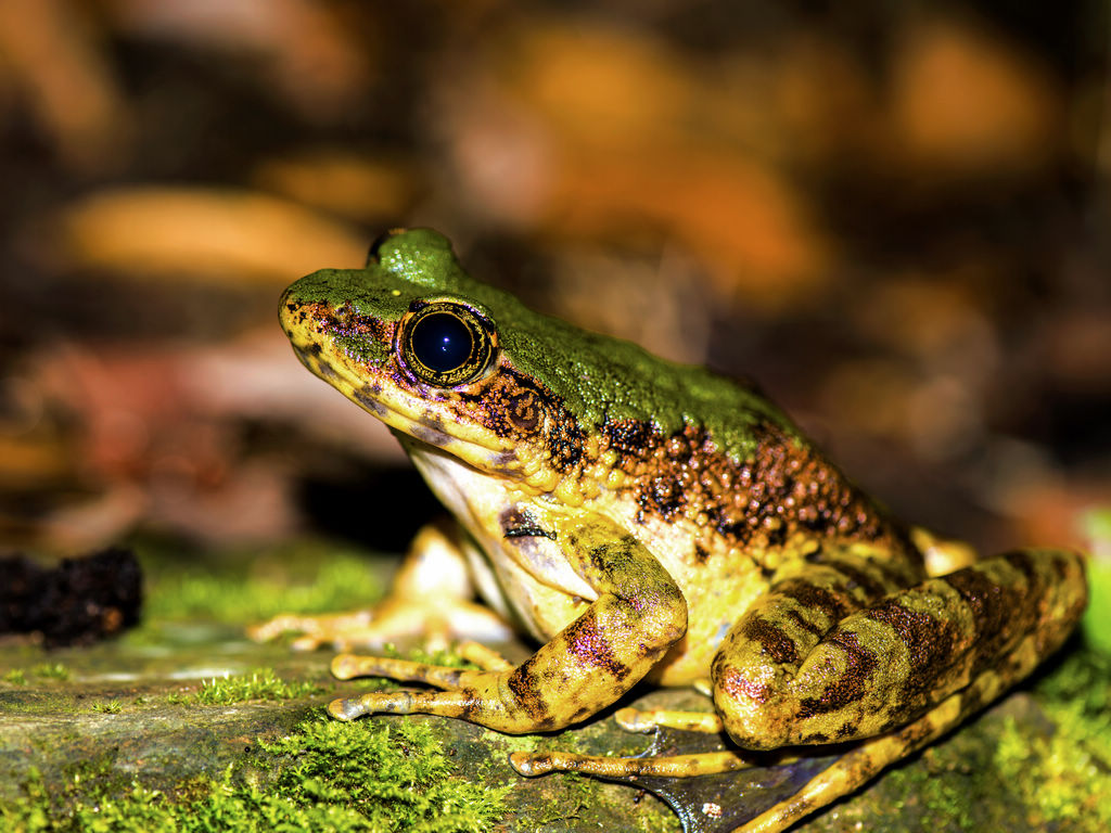_DSC6500.jpg