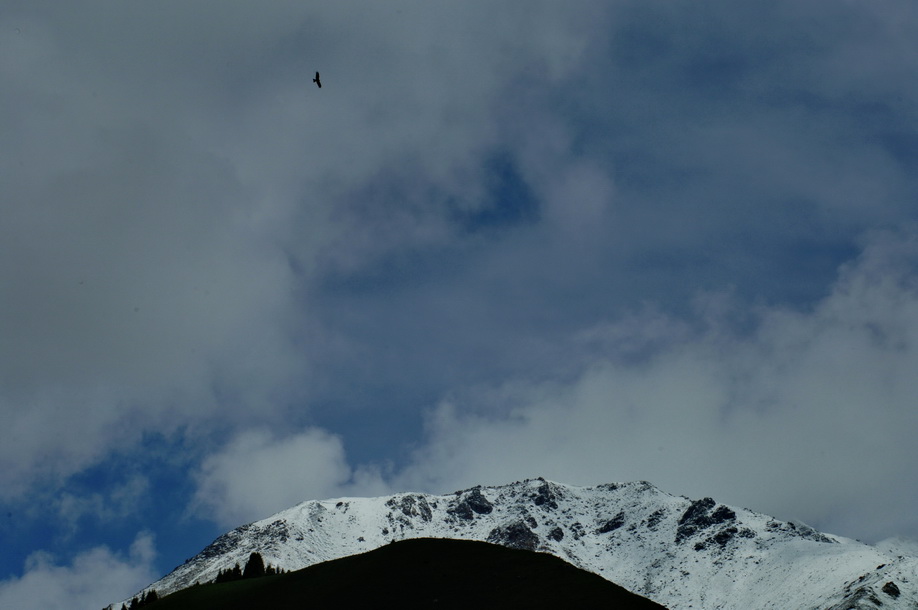 DSC_0250.JPG