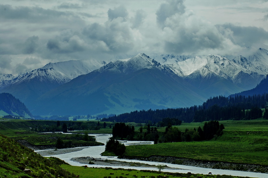 DSC_0235.JPG