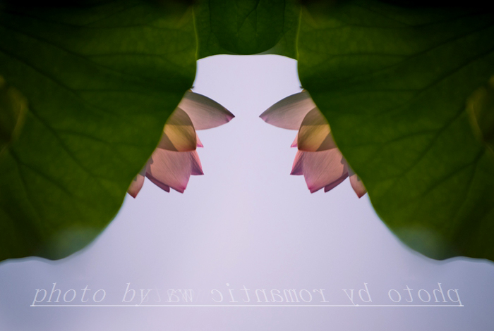 0_71842_1e641b823df2c3e.jpg