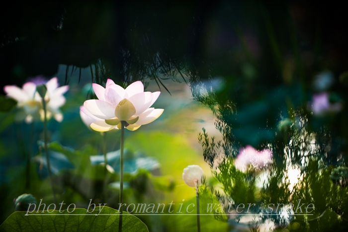 0_71842_6d6f2225a8c4760.jpg