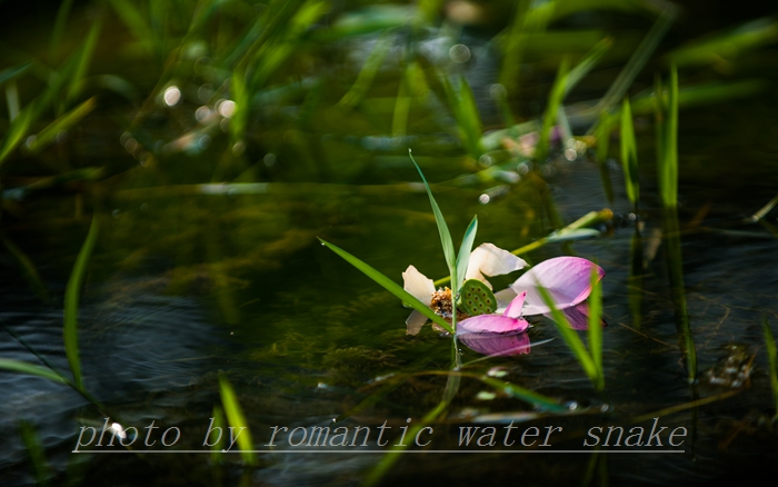 0_71842_51eae64ef04b8a9.jpg