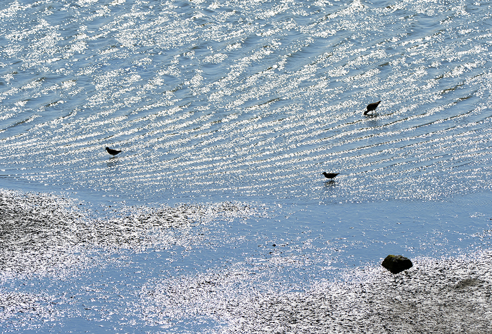 DSC_1313.JPG