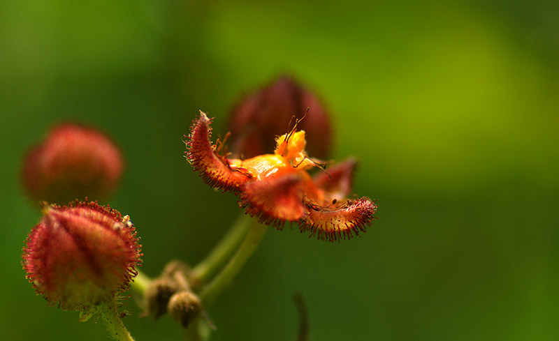 DSC_0023.JPG