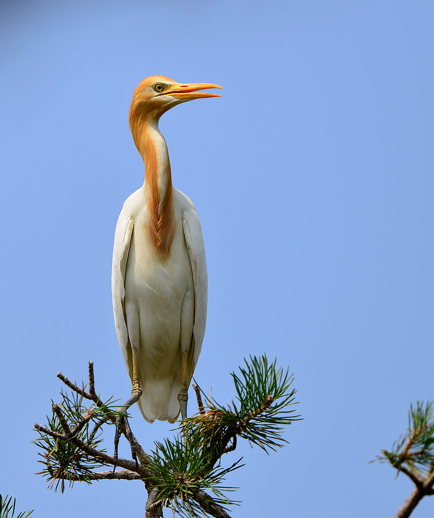 DSC_2124.jpg