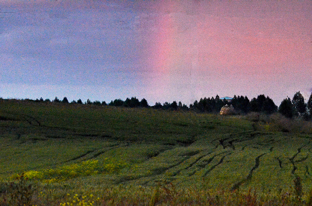 DSC_7777-1.jpg