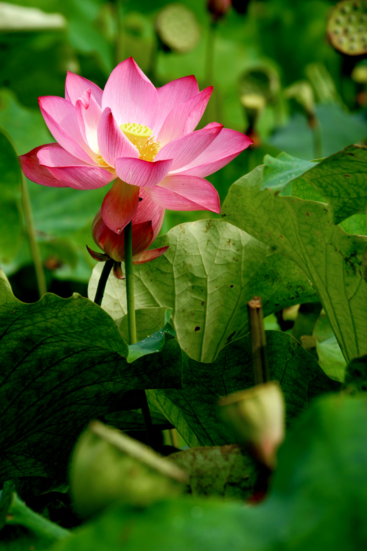 DSC06478СƬ.jpg