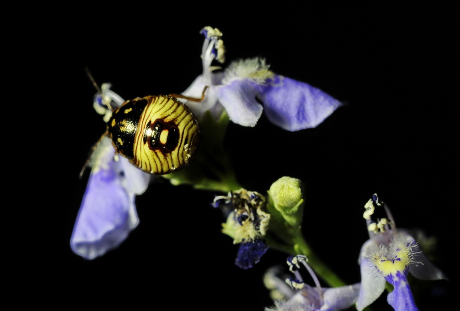 _DSC9788.JPG