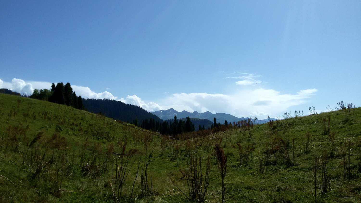 20150716_165945_.jpg