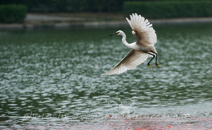 DSC_9627.jpg