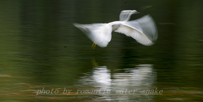 0_71842_23db4fe60a61095.jpg