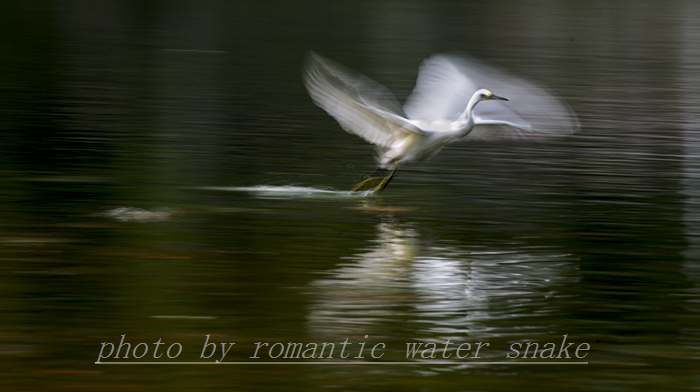 0_71842_56cc64510a8b99f.jpg