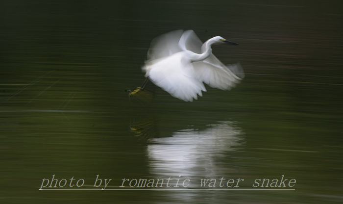 0_71842_1081be644e5be63.jpg