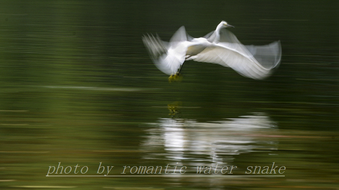 0_71842_5603e983eabbb6a.jpg