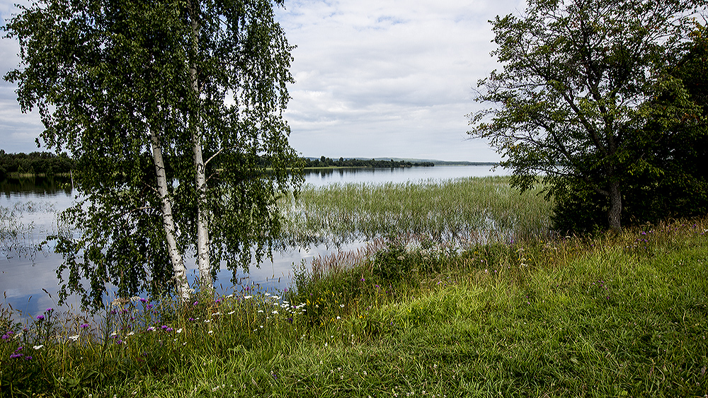 _13C9180.jpg