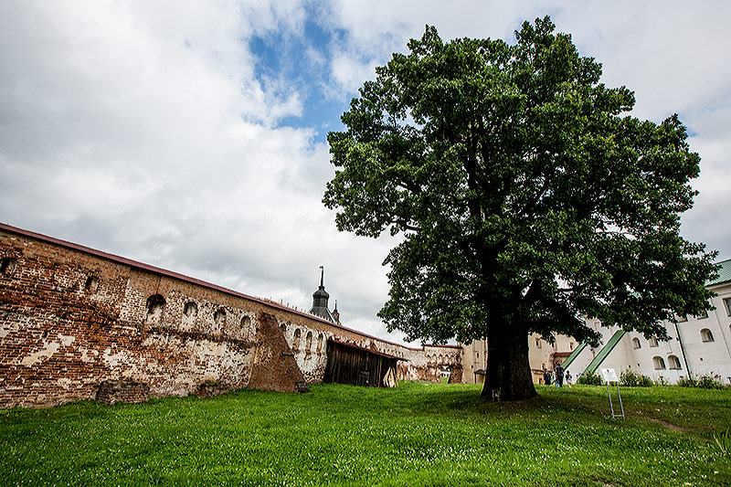 _13C9371.jpg