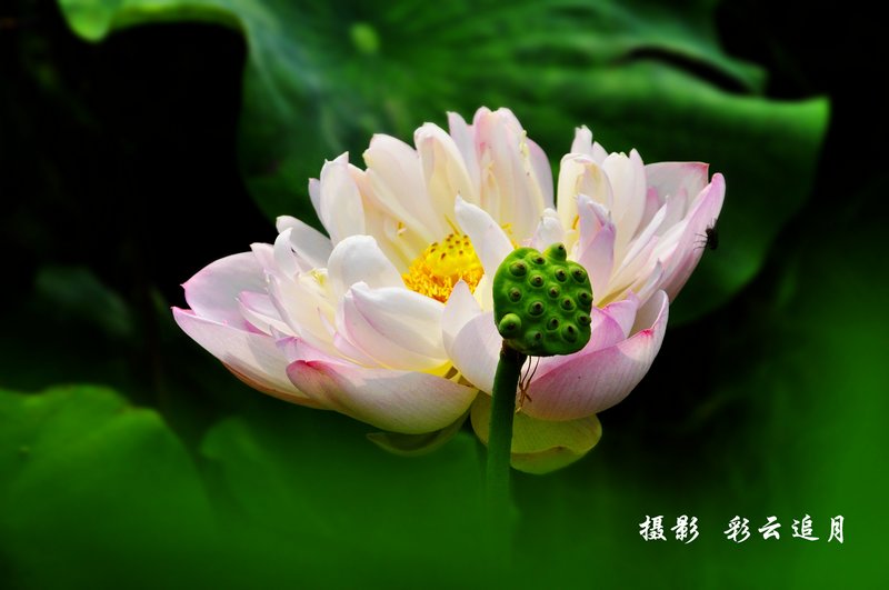 20150803Ӱ (40).jpg