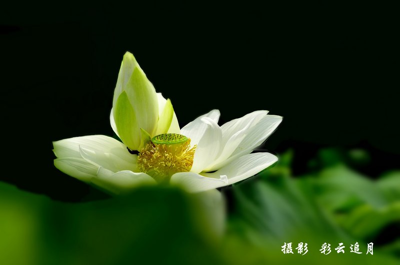 20150803Ӱ (49).jpg
