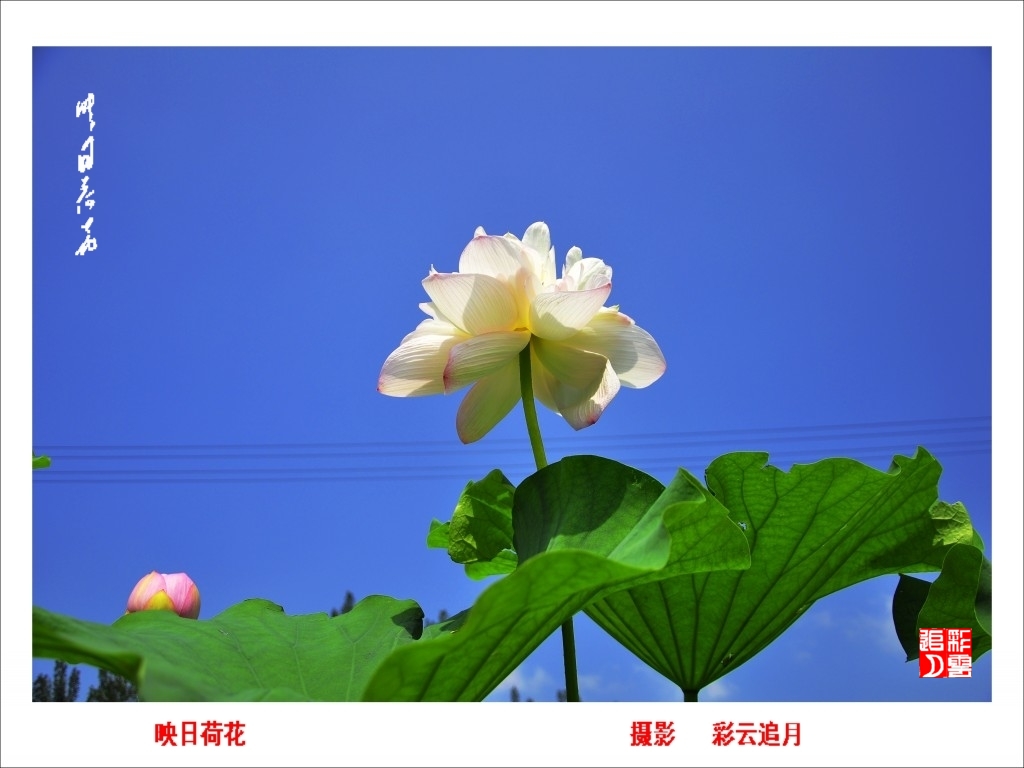 conew__dsc8092.jpg