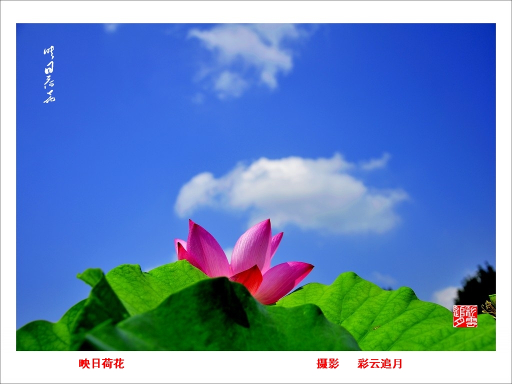 conew__dsc8071.jpg