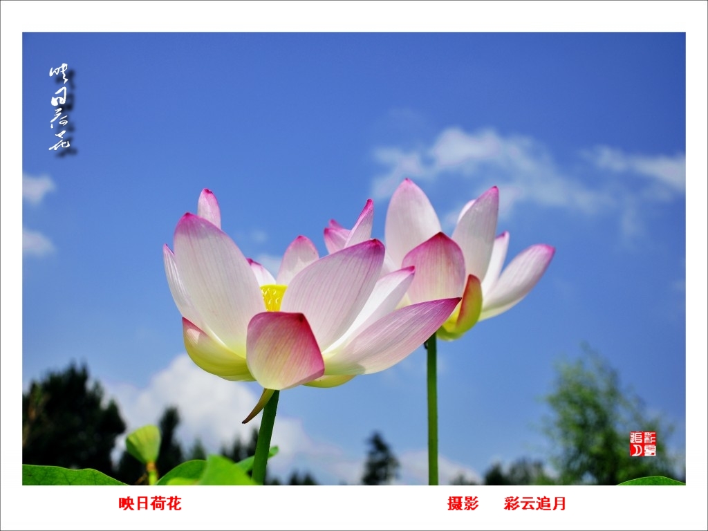 conew__dsc8072.jpg