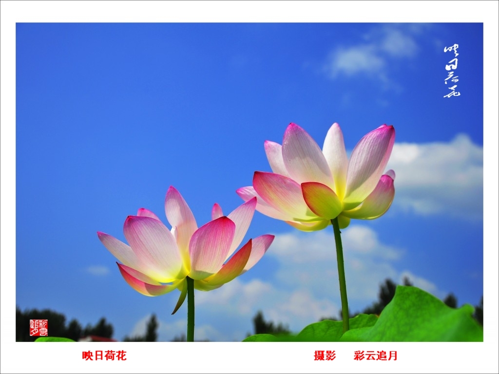 conew__dsc8073.jpg