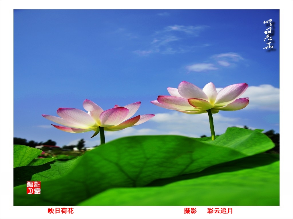 conew__dsc8074.jpg